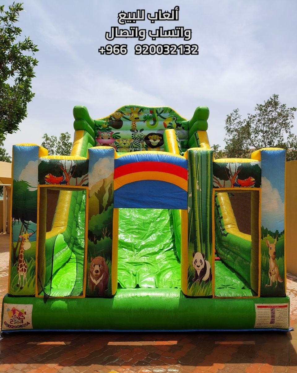 6003656392348208248_121 - Copie - Copie.jpg